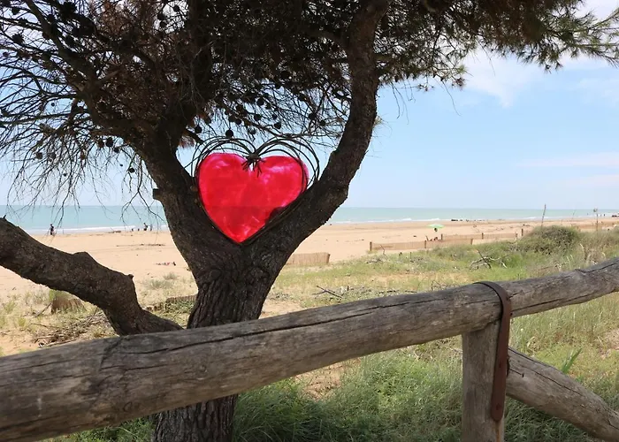 Raffaella ביביונה